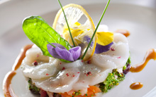 Les coquilles saint-Jacques en carpaccio sur une ligure de légumes primeurs du potager